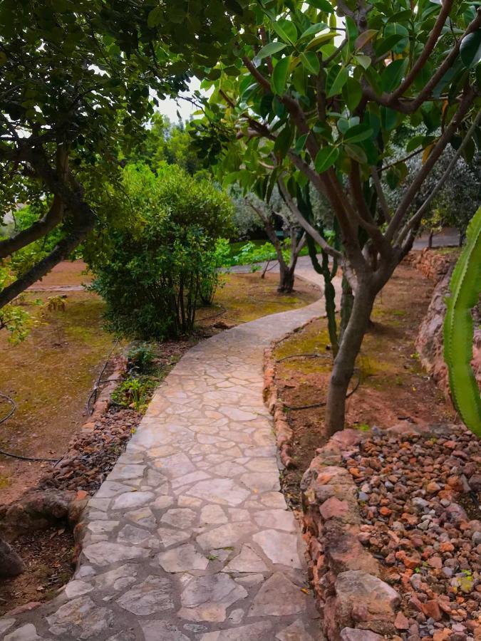 Villa La Torreta Ref 056 카스텔론델라플라나 외부 사진