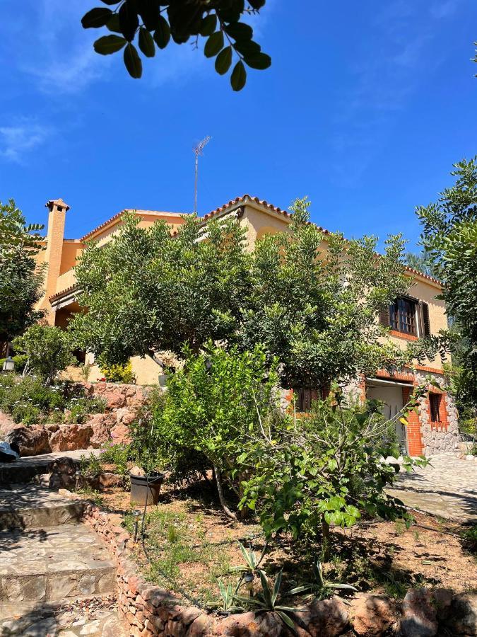 Villa La Torreta Ref 056 카스텔론델라플라나 외부 사진