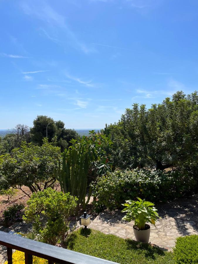 Villa La Torreta Ref 056 카스텔론델라플라나 외부 사진